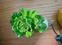 朱炳仁 手握百財(cái)白菜裝 開(kāi)業(yè)客廳玄關(guān)桌面擺件 曬單實(shí)拍圖