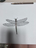 [金迪銀]卡泊三醇軟膏 0.005%*15g 1盒裝 【溫和配方】 曬單實拍圖