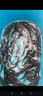 溪流釣窩料溪石斑打窩大顆粒溪流餌料超濃腥石斑魚(yú)白條馬口窩料 【1包】超濃腥溪流窩料顆粒 曬單實(shí)拍圖