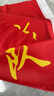 音米yinmi 旗幟定制 企業(yè)旗 紅旗隊旗標(biāo)志旗 3號旗子192cm*128cm 曬單實拍圖