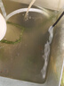 三友創(chuàng)美增彩魚糧神彩活麗微粒魚料小型熱帶魚食燈科孔雀鳳尾魚幼魚飼料 增彩10袋微粒 曬單實(shí)拍圖