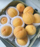 山姆伯伯山東蒙陰黃油桃子【JD閃送】黃金蜜毛桃新鮮水果脆甜桃子 A+級甄選果丨黃金產(chǎn)區(qū)【爆甜】 凈重4.5-5斤【巨劃算-85%選擇】 曬單實(shí)拍圖