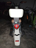 雅迪（yadea）新國(guó)標(biāo)電動(dòng)自行車C20長(zhǎng)續(xù)航電動(dòng)車48V24Ah鋰電電池通勤上班代步智能車男女電瓶車燕麥暖棕 曬單實(shí)拍圖