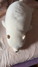 LIV HEART 北極熊娃娃毛絨玩具熊抱枕公仔玩偶女生睡覺(jué)抱抱熊-幸運(yùn)熊--L白 曬單實(shí)拍圖