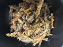 捕漁笙微山湖新鮮小麥穗魚生態(tài)野捕小河魚羅漢魚活魚現(xiàn)殺淡水小雜魚凈膛 麥穗魚5厘米左右（凈膛宰殺） 凈重1斤裝 曬單實拍圖