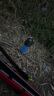 膳魔師（THERMOS）日本進(jìn)口保溫壺大容量不銹鋼便攜運動(dòng)戶(hù)外旅行車(chē)載大保溫杯子水壺 FJQ天藍色 2L 送杯刷 曬單實(shí)拍圖