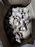 京鮮生 云南小黃姜 凈重3斤 生姜 新鮮蔬菜 源頭直發(fā) 曬單實拍圖