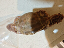 舟山梭子蟹鮮活特大野生大螃蟹新鮮冷凍海鮮水產(chǎn)海蟹飛蟹白蟹順豐 7-9兩/只【5斤凈重 特大肥壯】 曬單實(shí)拍圖