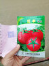 鳳鳴雅世 西紅柿種子水果番茄種籽大棚農(nóng)家四季菜園子農(nóng)科院種子家庭種子 紅豐番茄種子5克約1100粒 曬單實拍圖