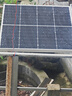 隆基太陽能板單晶硅光伏板225W550W580W660W正A級防積灰BC發(fā)電電池板 隆基單面225瓦 尺寸1354*767*30 曬單實拍圖