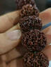文玩上色專用包漿玉化油核桃玉竹手串葫蘆快速玉化保養(yǎng)專用防裂油 單瓶裝【菩提核桃葫蘆通用】 曬單實(shí)拍圖