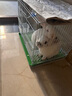 哈駱頓鳥籠鸚鵡籠子小中大型鴿子籠家用虎皮玄鳳專用窩帶喂食器鳥類用品 中號【40*30*30】食盒+站桿+托盤 折疊免安裝方便收納 大容量鳥類通用籠 1cm加密防鉆防卡 曬單實拍圖