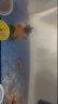 闊庭（KUOTING）魚缸水族箱生態(tài)桌面魚缸新款懶人魚缸過濾制氧一體黑色【特大號】 曬單實拍圖