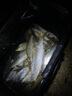 沃鼎王者神劍三代釣魚竿碳纖維超輕鯽魚竿大物竿魚桿臺釣竿5.4米 5.5H 曬單實拍圖