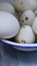 鶴農(nóng)益得鵝蛋新鮮生鵝蛋農(nóng)家喂養(yǎng)孕婦蛋生鮮雜糧散養(yǎng)精品禮盒裝 12枚 1680g 單枚140g左右 曬單實拍圖