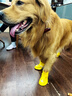 嬉皮狗（hipidog）中大型犬雨鞋防水防掉狗狗鞋子寵物防臟神器金毛柯基腳套夏季外出 洛克黃 3XL9.3*7.4cm建議體重45-65斤 曬單實(shí)拍圖