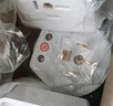 公牛工業(yè)插頭三相四線16A25A32A大功率380V電源插頭三項插座三相插頭四孔插座三相電開關(guān)插座 32A工業(yè)插頭 曬單實拍圖