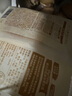 西貝莜面村 蒙古原制奶酪餅100g*5袋 兒童早餐半成品芝士餅拉絲奶酪餅乳酪餅 曬單實拍圖