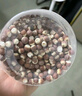 福東海 芡實400克(約0.9-1.1cm）肇慶紅皮雞頭米 祛搭薏米紅豆四神湯濕 曬單實拍圖