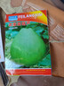 種菜記 農(nóng)家可食用菜葫蘆種子大酒仙巨型圓瓢瓠籽蔬菜瓜果農(nóng)家圓瓢葫蘆 農(nóng)家菜葫蘆種子約20粒 曬單實(shí)拍圖