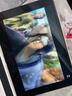 蘋果ipad9/10 air4/5 mini5/6（mini6 官換在保）二手apple平板電腦 ipad9(21款10.2寸A13) 256G WIFI版 99新 (備注l留言) 曬單實(shí)拍圖