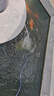 海利魚(yú)池增氧泵大功率氧氣泵 戶(hù)外魚(yú)塘家用魚(yú)缸增氧機 超靜音大氣量  ACO-9730 50W 套餐 曬單實(shí)拍圖