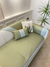 朗格冰絲沙發(fā)涼席墊夏季防滑簡(jiǎn)約現代2025新款全包沙發(fā)套罩蓋布巾 涼感冰絲-清嵐-綠色 軟硅膠防滑 70cm*180cm (大兩人位 ) 曬單實(shí)拍圖