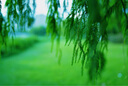 索尼（SONY） 全畫幅定焦鏡頭 【廣角定焦】FE35mmF1.4 GM 官方標(biāo)配+防護(hù)套裝(包含UV鏡) 曬單實(shí)拍圖