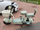 臺鈴電動自行車【國家補(bǔ)貼】小錦鯉50公里長續(xù)航電動車鉛酸電池48V13Ah電瓶車新國標(biāo)碧波綠 曬單實(shí)拍圖