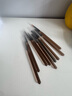 SAMPMAN亞克力冰透咖色美甲筆套裝筆刷工具畫(huà)花光療拉線(xiàn)彩繪漸變暈染日式 [亞克力咖色]美甲筆套裝 9支 曬單實(shí)拍圖