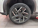 米其林（MICHELIN）汽車輪胎 215/55R18 99V 浩悅五代 Primacy 5 適配逍客/繽越 曬單實拍圖