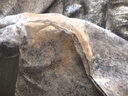 美安嘉氣質(zhì)時(shí)尚法式碎花上衣春秋季新款洋氣獨(dú)特別致長袖襯衫 圖片色 XL 125-140 曬單實(shí)拍圖