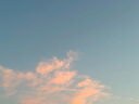 滋源無患子洗發(fā)水持久控油洗頭膏露去屑止癢蓬松無硅油第1男女士400ml 曬單實拍圖