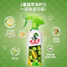 水衛(wèi)士冰箱清潔劑微波爐烤箱炸鍋清洗劑冰箱除味多功能清潔劑500g水衛(wèi)仕 曬單實(shí)拍圖