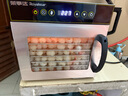 榮事達干果機水果烘干機商用不銹鋼家用小型蔬菜寵物零食肉干果蔬脆食品烘干箱風干機干燥箱 最新小8層-帶燈【600W】烘15斤以內 曬單實拍圖