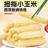 熙食甄谷 零0添加云南拇指玉米嬰兒童甜小手指玉米粒棒早餐代餐雜糧1斤 曬單實拍圖