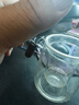 憶壺茶玻璃泡茶杯茶水分離耐高溫辦公室茶具三件套一人用泡茶神器 曬單實(shí)拍圖