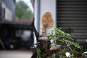 騰龍（Tamron）A058 35-150mm F/2-2.8人像風(fēng)光旅游35-150全畫幅微單鏡頭35150 尼康Z卡口 官方標(biāo)配【送騰龍UV濾鏡禮包+腳架環(huán)】 曬單實拍圖