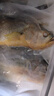 鮮京采 冷凍三去黃花魚(寧德大黃魚)1700g (5條裝)  禮盒  生鮮 海魚 曬單實(shí)拍圖
