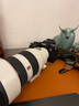 索尼（SONY）Alpha 1 II 新一代全畫幅微單?旗艦(ILCE-A1M2/α1 II/A1 二代)打鳥 注冊(cè)發(fā)貨 A1二代【贈(zèng)品牌快充】 曬單實(shí)拍圖