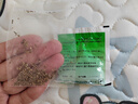 花太守驅(qū)蚊子室內(nèi)花食蟲植物捕蠅草盆栽大嘴超大吃蟲草撲蠅草種子驅(qū)蚊小 大嘴·捕蠅草種子50粒+肥料 曬單實(shí)拍圖