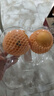新奇士（Sunkist）澳大利亞藍(lán)標(biāo)早臍橙 4粒裝 單果180g起 新鮮水果 曬單實(shí)拍圖