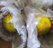 京府香園東北香瓜八里香花蕾甜瓜花姑娘新鮮脆甜應(yīng)季多汁蜜瓜現(xiàn)摘水果整箱 精選5斤裝 曬單實(shí)拍圖