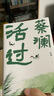 活過(guò) 蔡瀾首部自傳 美食散文隨筆集 曬單實(shí)拍圖