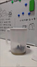 茶花冷水壺冰箱大容量制冷水壺耐高溫家用食品級涼水杯密封塑料冷水壺 【白色】2.2L冷水壺【可放冰箱側(cè)門】 曬單實(shí)拍圖