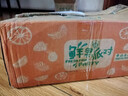 【爆甜產(chǎn)地直發(fā)】山東綠寶石甜瓜新鮮現(xiàn)摘甜瓜應(yīng)季甜脆水果 5斤 凈重4.5斤 【超值裝】 曬單實(shí)拍圖