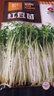 京農(nóng)研芽苗菜種子水培菜小麥草豌豆松柳油葵香椿苗綠豆芽西藍(lán)花苗花生芽 蕎麥芽苗菜 50克 曬單實(shí)拍圖