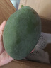 京鮮生 攀枝花凱特芒果 凈重8.5斤 帶箱9斤 單果400g+ 生鮮水果源頭直發(fā) 曬單實拍圖