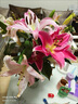 禾之潤香水百合花鮮花云南昆明基地直發(fā)批鮮切家用水養(yǎng)插花 紅美人香水百合10朵 關(guān)注店鋪送進口營養(yǎng)液 曬單實拍圖