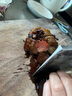 臘肉四川特產農家自制煙熏肉咸肉非湖南貴州香腸臘腸正宗五花后腿 正宗四川后腿臘肉1斤（1袋） 曬單實拍圖